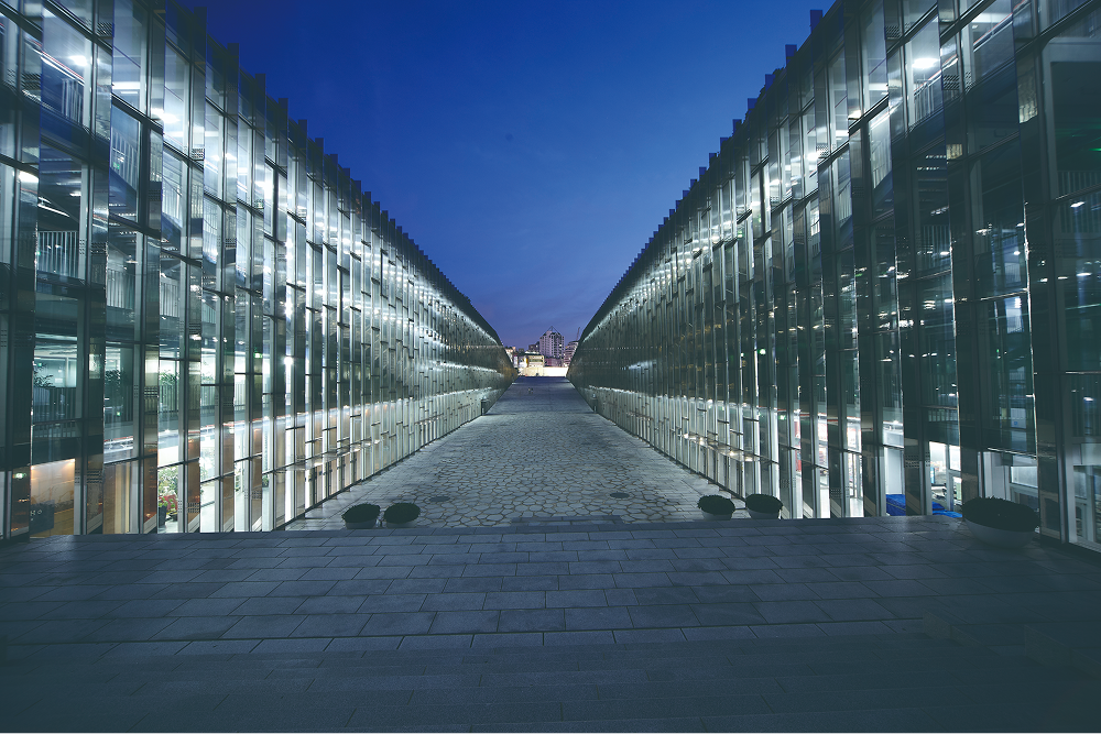 Overseas partner universities