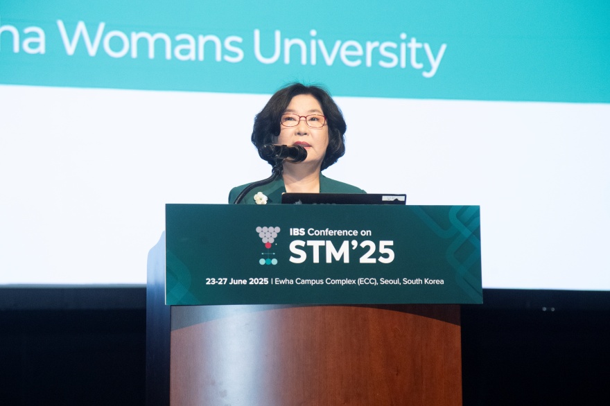 [동정] IBS Conference on STM'25